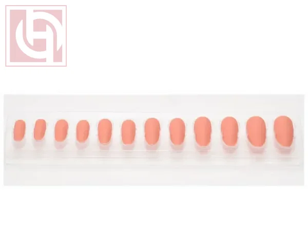 Artificial nails12 pieces for women with adhesive tape