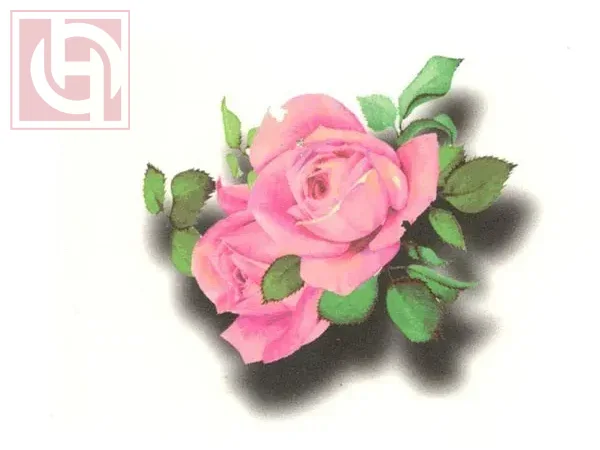 Temporary waterproof body sticker tattoos for women and girls