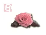 Temporary waterproof body sticker tattoos for women and girls