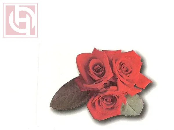 Temporary waterproof body sticker tattoos for women and girls