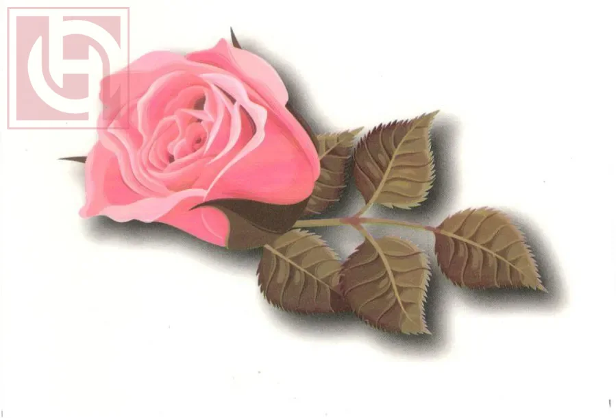 تاتو لاصق الوان مؤقت للجسم للنساء والفتيات Temporary waterproof body sticker tattoos for women and girls - Image 1